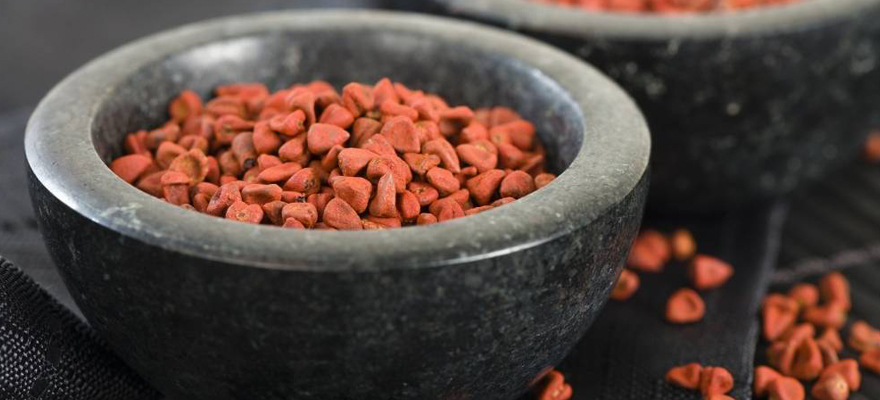 Compléments alimentaires naturels à base de roucou achiote